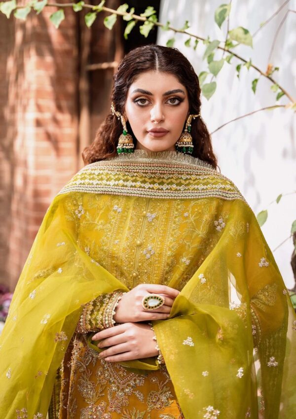 Akbar Aslam Asm24 1498 Rohi Mastani
